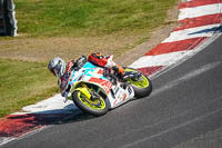 Advanced Group Multicolour Bikes